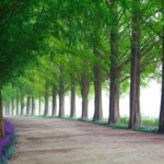 Navigation Systems and Supply Chain Optimization